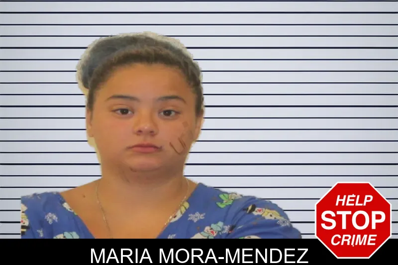 Maria Mora-Mendez mugshot – Johnson County , Georgia Maria Mora-Mendez mugshot