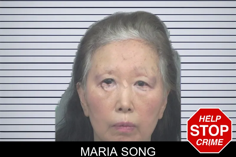 Maria Song mugshot – Gwinnett County , Georgia Maria Song mugshot