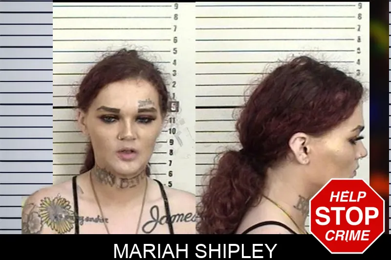 Mariah Shipley mugshot – Camden County , Georgia Mariah Shipley mugshot
