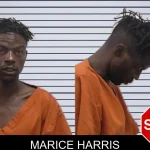 Marice Harris mugshot