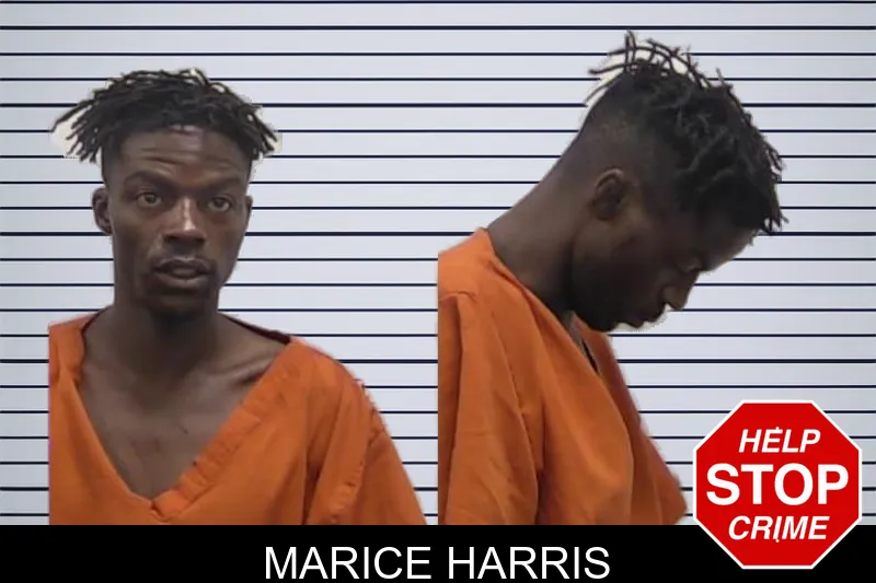 Marice Harris mugshot