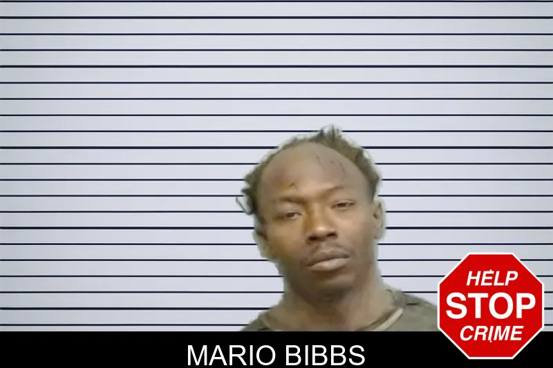 Mario Bibbs mugshot – Fulton County , Georgia Mario Bibbs mugshot