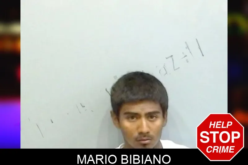 Mario Bibiano mugshot