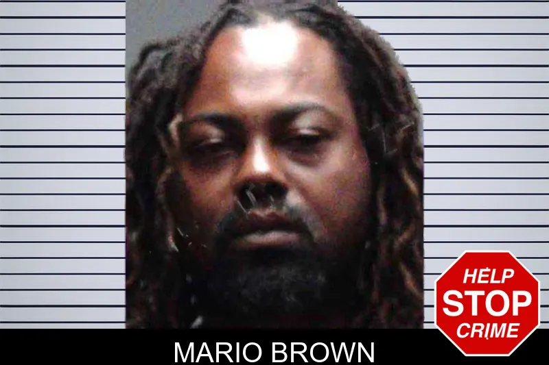 Mario Brown mugshot