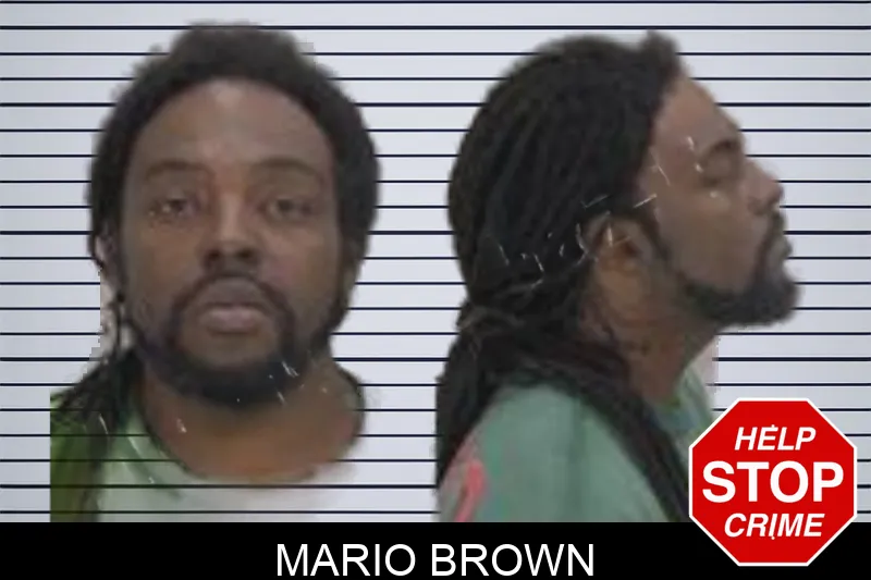 Mario Brown mugshot