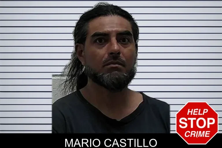 Mario Castillo mugshot – Pierce County , Georgia Mario Castillo