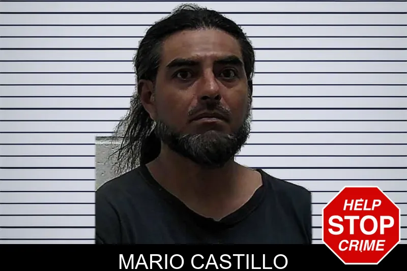 Mario Castillo mugshot