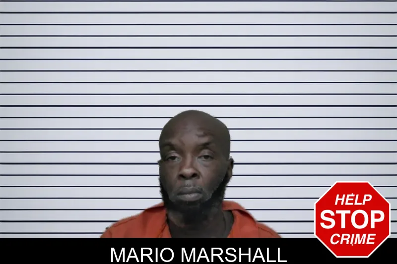 Mario Marshall mugshot
