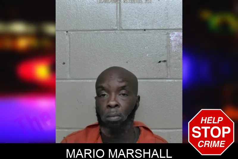 Mario Marshall mugshot – Ben Hill County , Georgia Mario Marshall mugshot