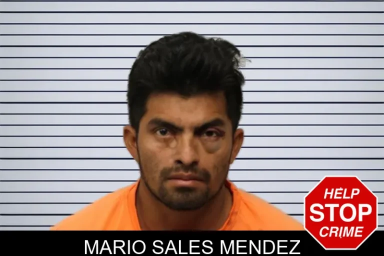 Mario Sales Mendez