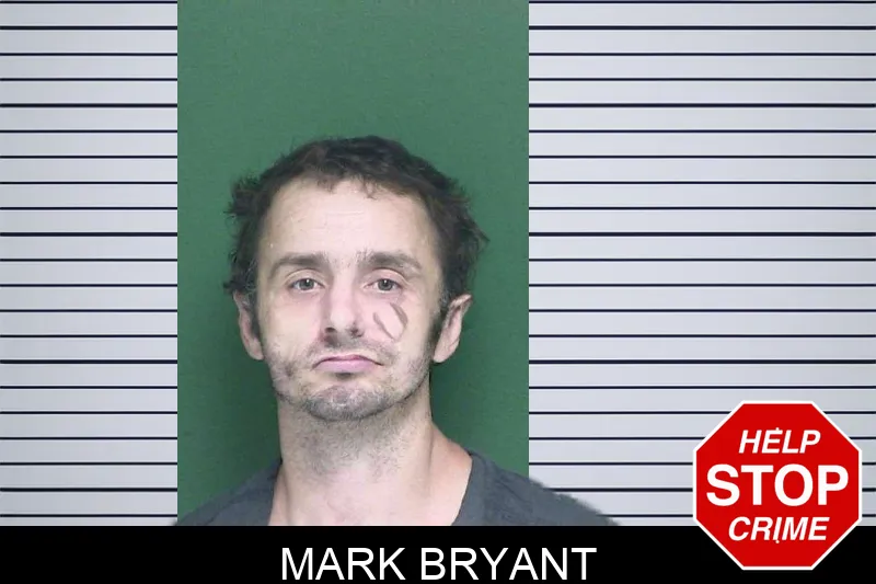 Mark Bryant mugshot – Appling County , Georgia Mark Bryant mugshot