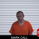 Mark Call mugshot – Fannin County , Georgia Mark Call mugshot