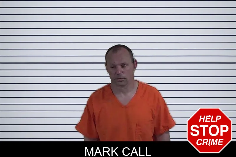 Mark Call mugshot – Fannin County , Georgia Mark Call mugshot