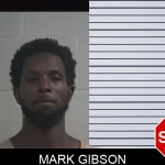 Mark Gibson mugshot
