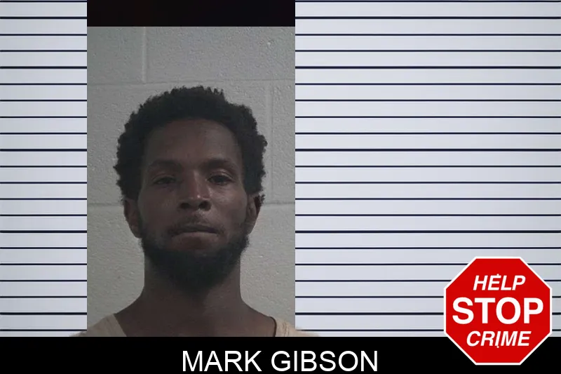 Mark Gibson mugshot – McDuffie County , Georgia Mark Gibson mugshot