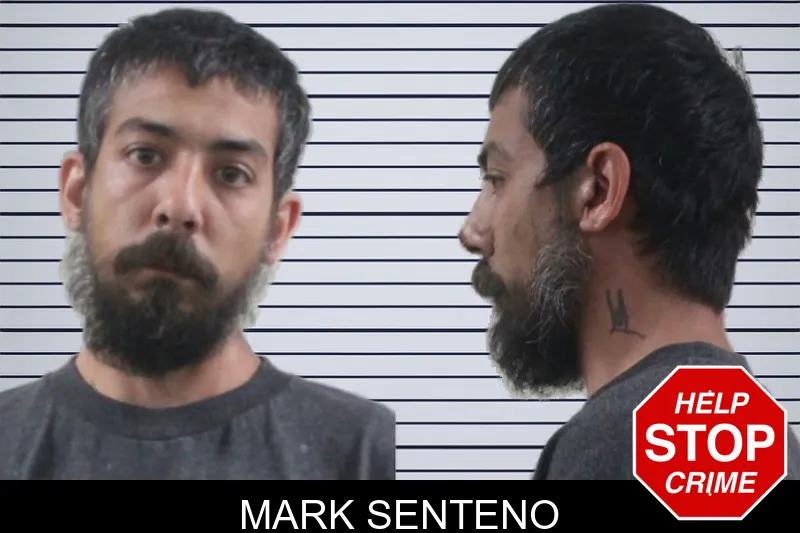 Mark Senteno mugshot – Houston County , Georgia Mark Senteno mugshot