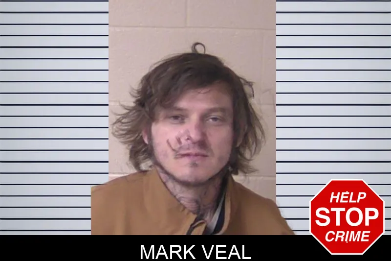 Mark Veal mugshot