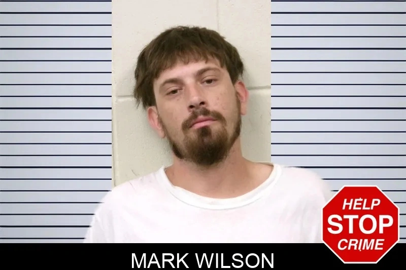 Mark Wilson mugshot