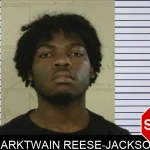 Marktwain Reese-Jackson mugshot – Liberty County , Georgia Marktwain Reese-Jackson mugshot