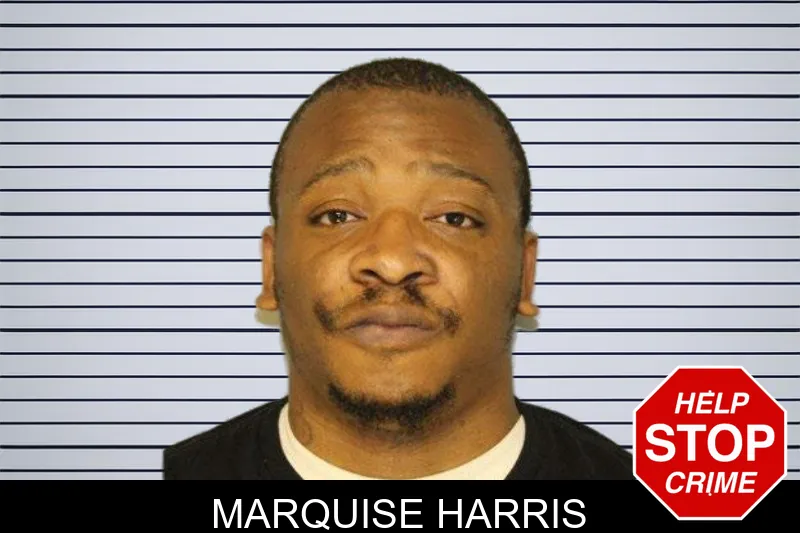 Marquise Harris mugshot – Hall County , Georgia Marquise Harris mugshot