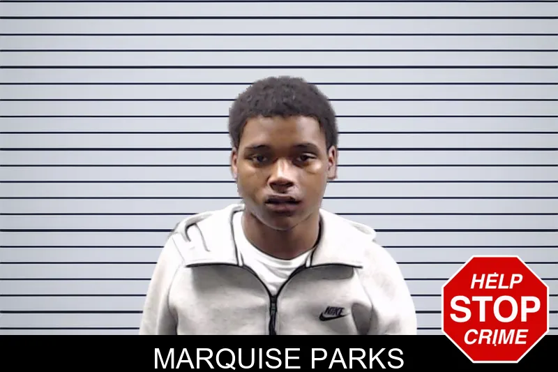 Marquise Parks mugshot – DeKalb County , Georgia Marquise Parks mugshot