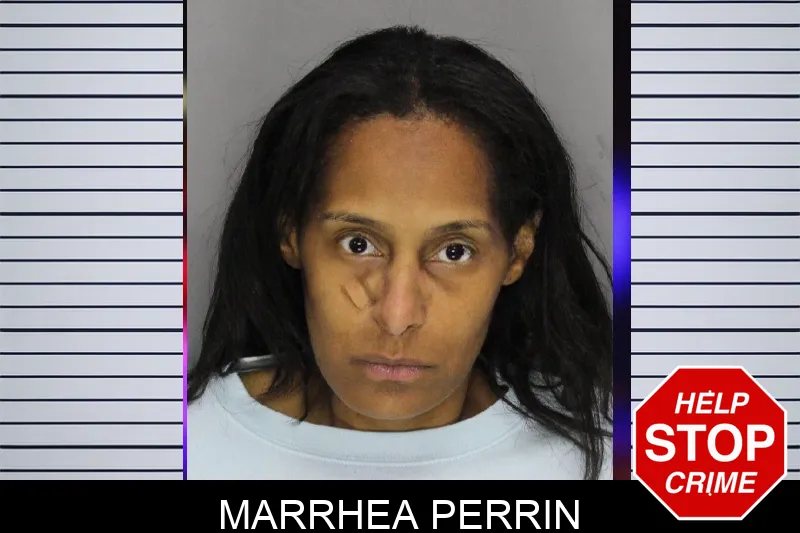 Marrhea Perrin mugshot – Cobb County , Georgia Marrhea Perrin mugshot