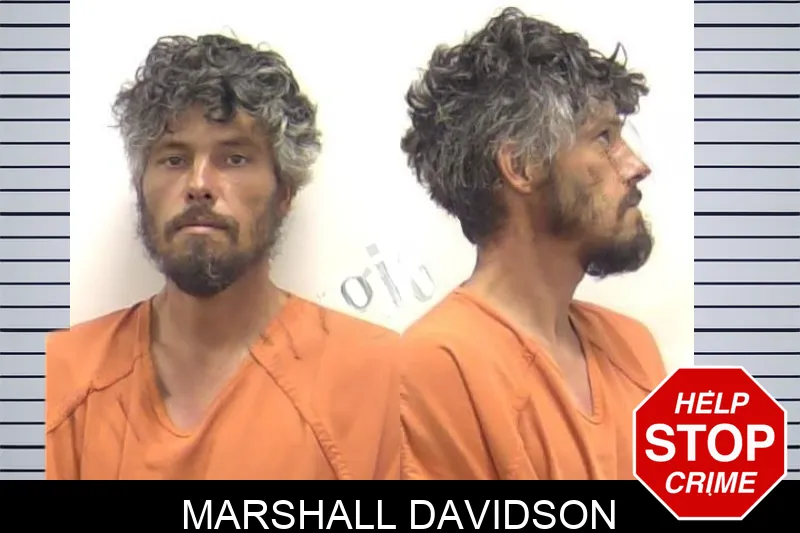 Marshall Davidson mugshot