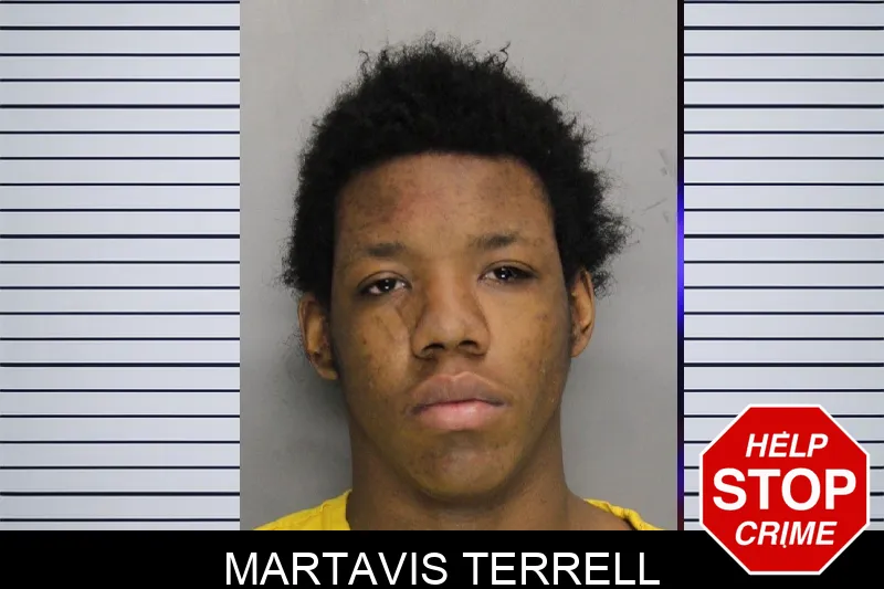 Martavis Terrell mugshot