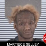 Martiece Selley mugshot – Spalding County , Georgia Martiece Selley mugshot