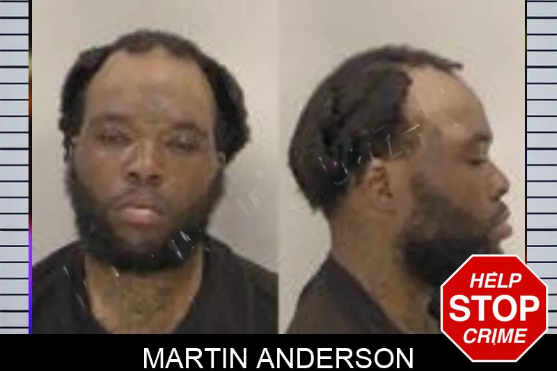 Martin Anderson mugshot