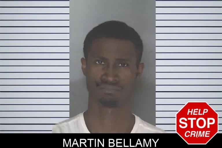 Martin Bellamy
