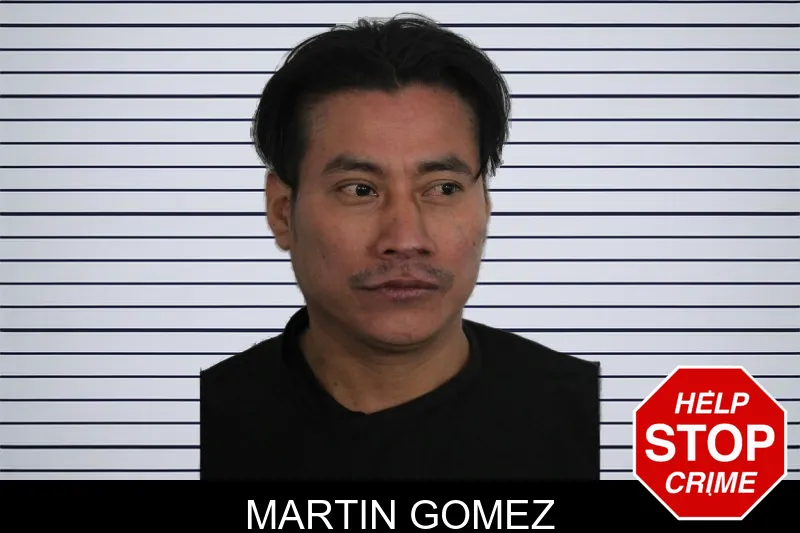 Martin Gomez mugshot