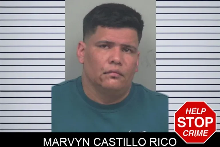 Marvyn Castillo Rico
