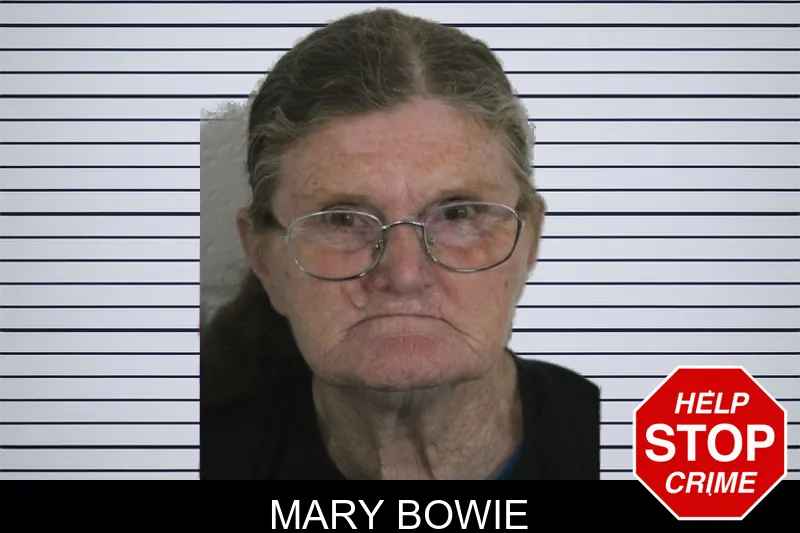 Mary Bowie mugshot