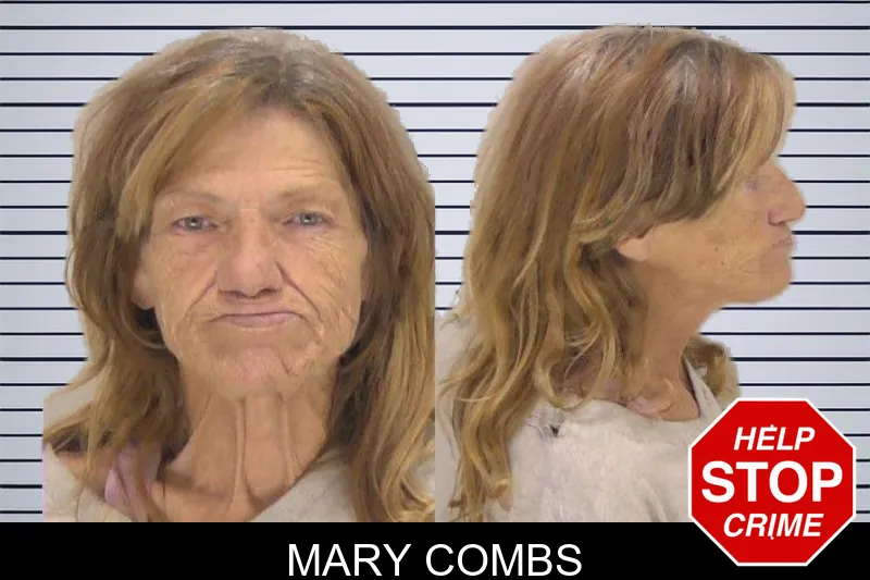 Mary Combs mugshot