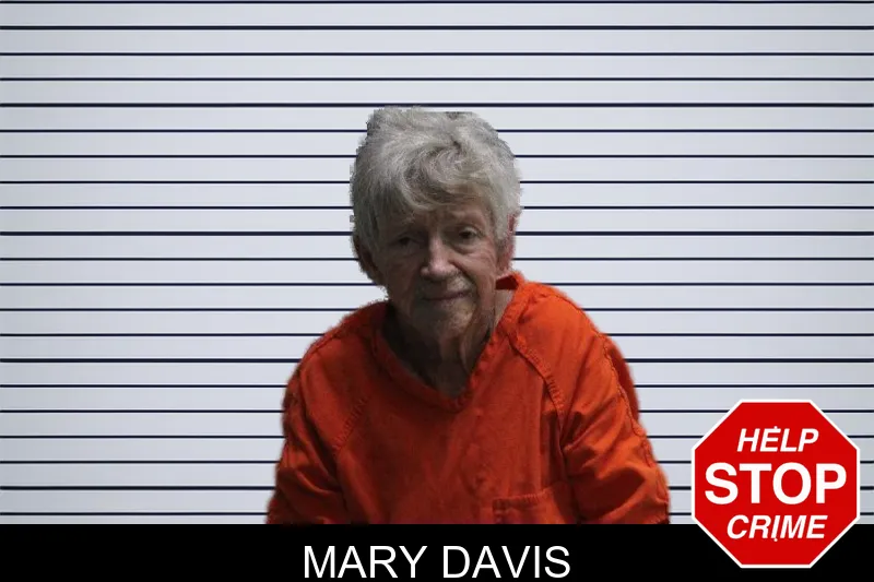 Mary Davis mugshot