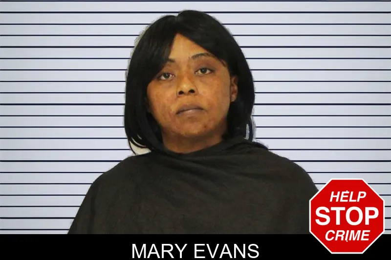 Mary Evans mugshot – Carroll County , Georgia Mary Evans mugshot