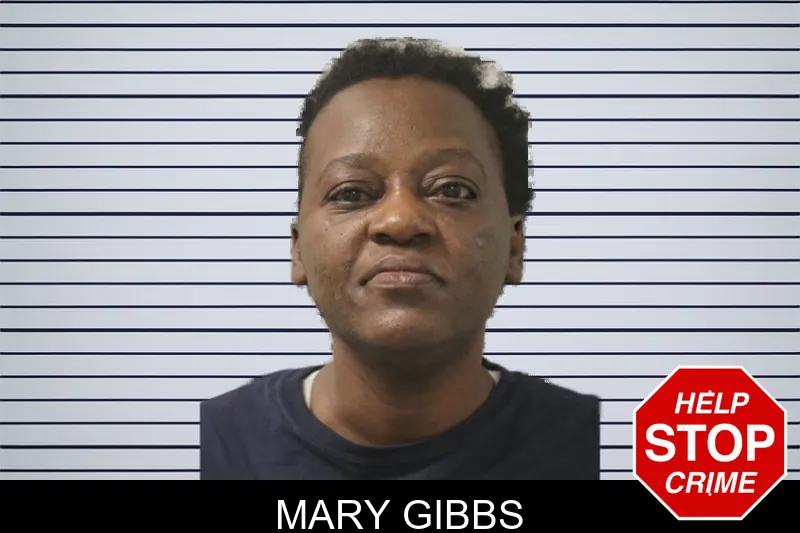 Mary Gibbs mugshot – Toombs County , Georgia Mary Gibbs mugshot