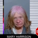 Mary Harrison mugshot – Glynn County , Georgia Mary Harrison mugshot