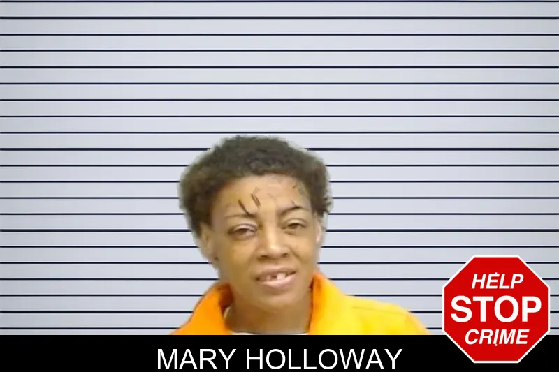 Mary Holloway mugshot