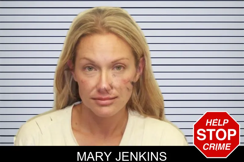 Mary Jenkins mugshot