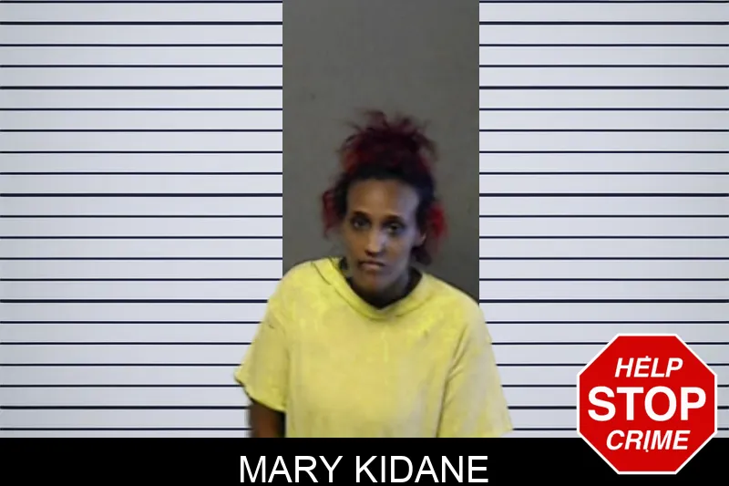 Mary Kidane mugshot – DeKalb County , Georgia Mary Kidane mugshot