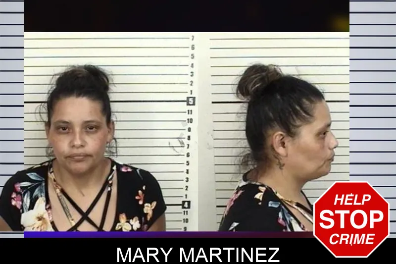 Mary Martinez mugshot – Camden County , Georgia Mary Martinez mugshot