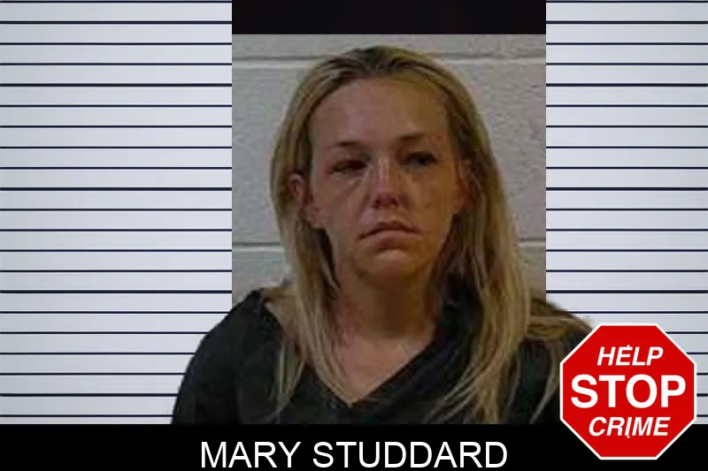 Mary Studdard mugshot – Polk County , Georgia Mary Studdard mugshot