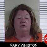 Mary Whiston mugshot – Fannin County , Georgia Mary Whiston mugshot