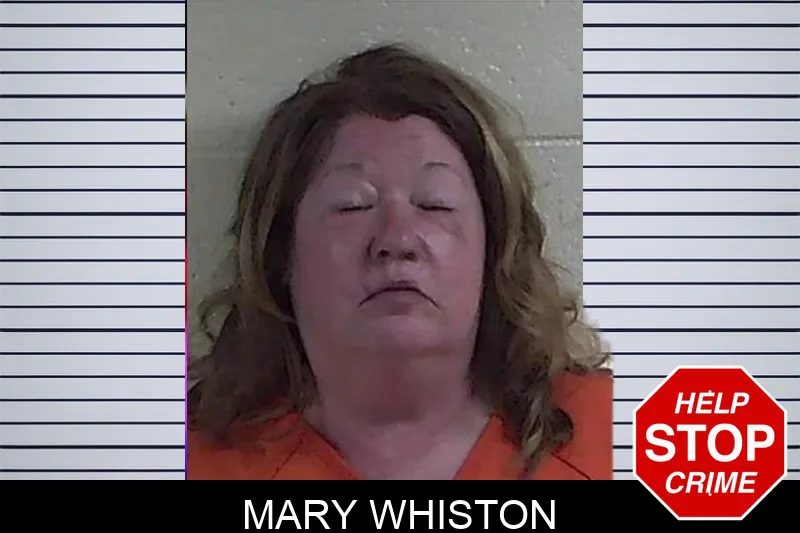 Mary Whiston mugshot – Fannin County , Georgia Mary Whiston mugshot