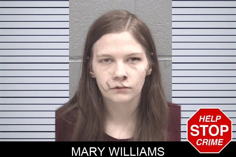 Mary Williams mugshot