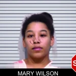 Mary Wilson mugshot – Bartow County , Georgia Mary Wilson mugshot
