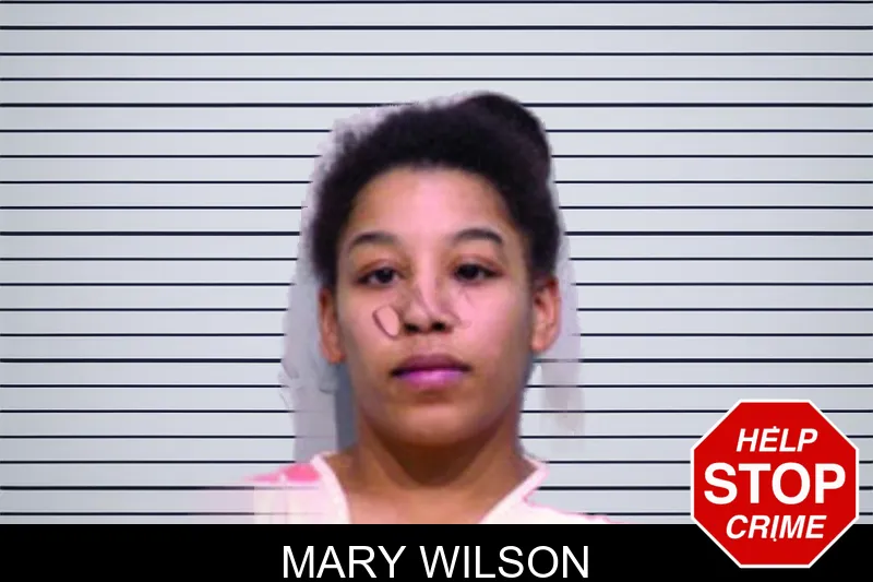 Mary Wilson mugshot