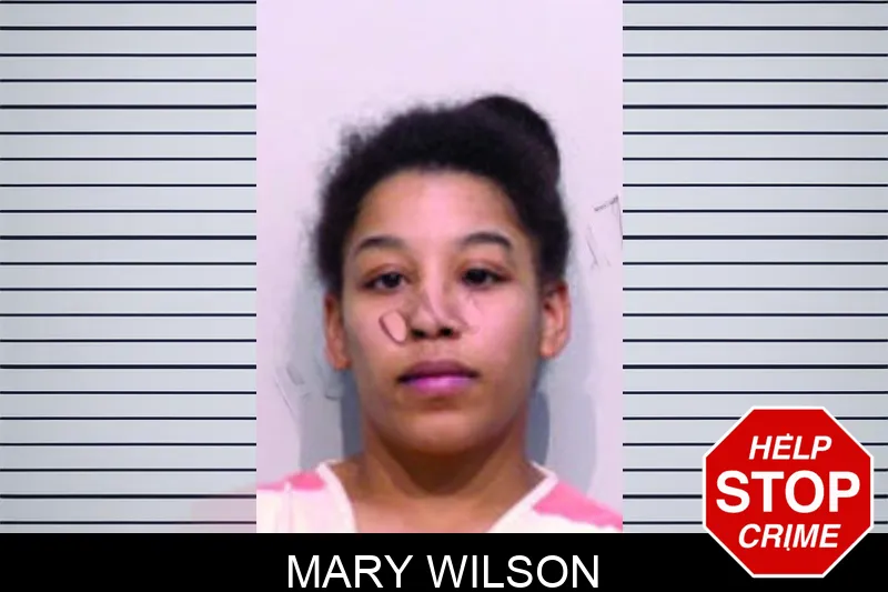 Mary Wilson mugshot